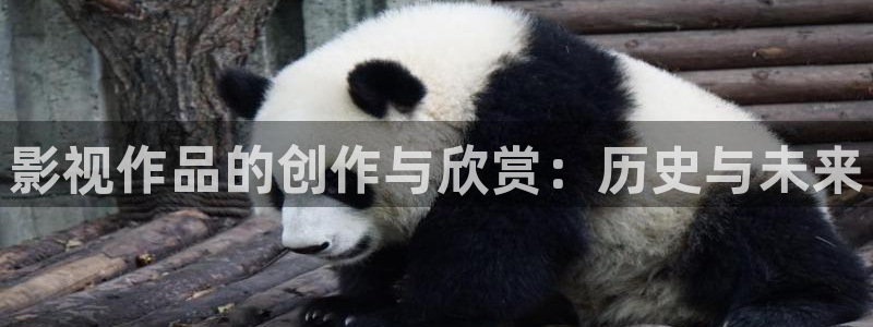 雁回时在线观看星空影院